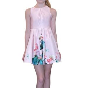 Ted Baker Dress